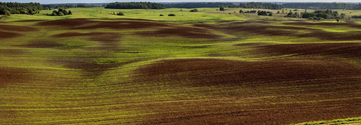 Specialty Fertilizers